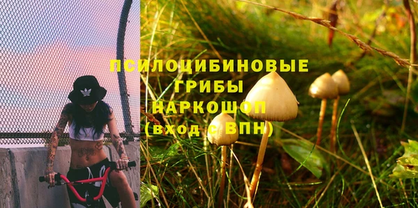 метамфетамин Алексеевка
